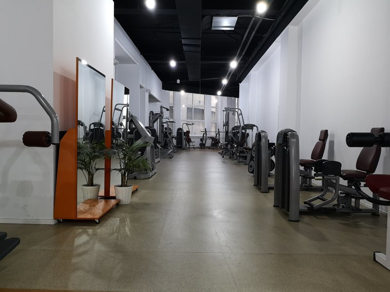 Salsafit Gym - Sala de fitness, Bucuresti